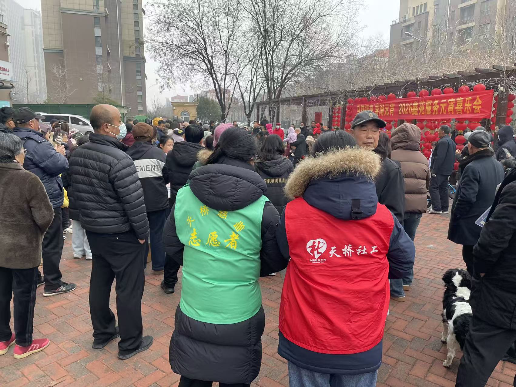 1772586683735857.jpg 照片1.jpg