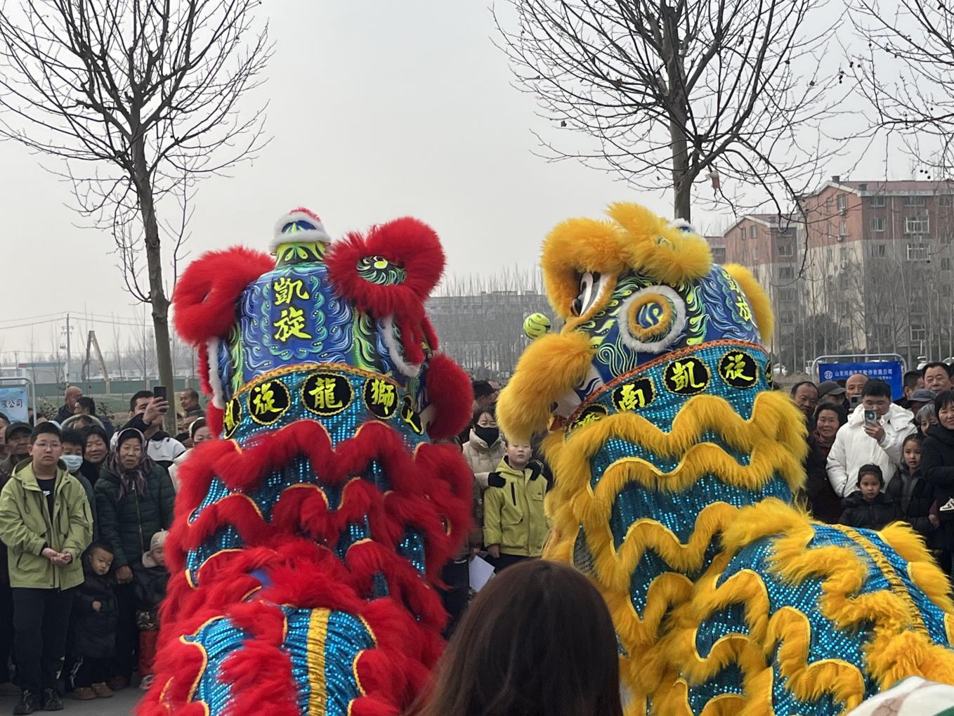 1772587985341197.jpg 图片1.jpg